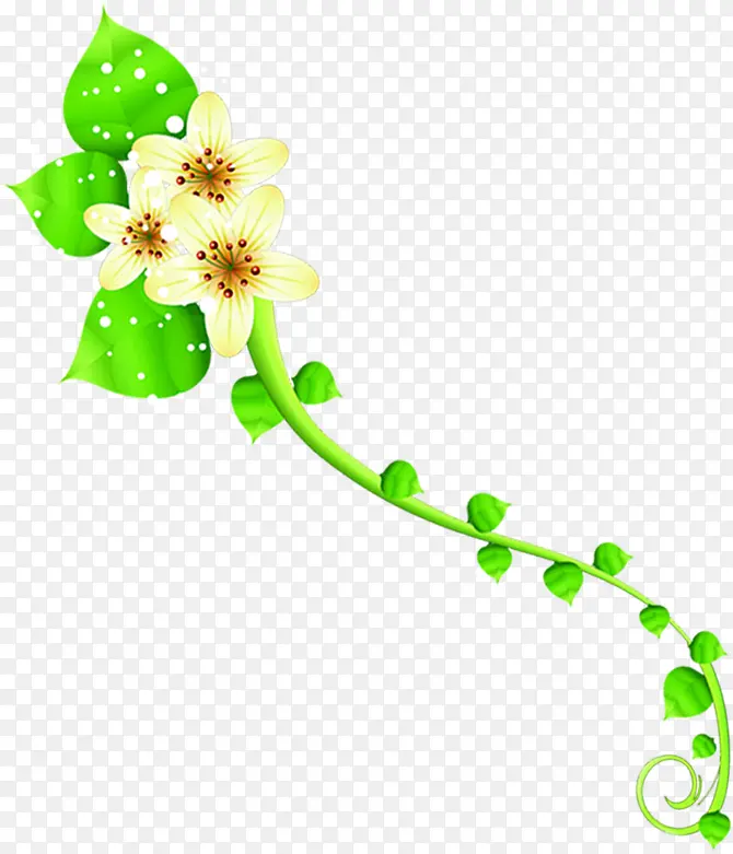 绿色藤蔓三朵花夏天