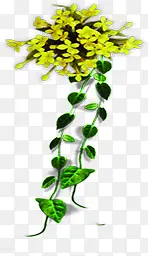 黄绿色清新藤蔓植物