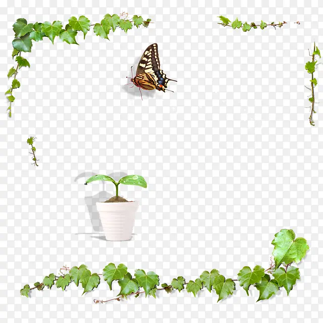 绿色植物藤蔓蝴蝶边框海报背景