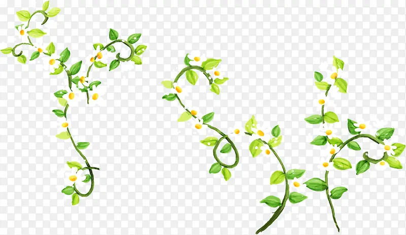 创意水彩合成植物藤蔓