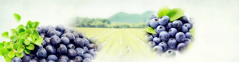 轮播背景海报banner