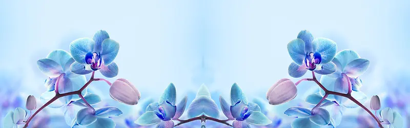 清爽蓝色花朵淘宝海报