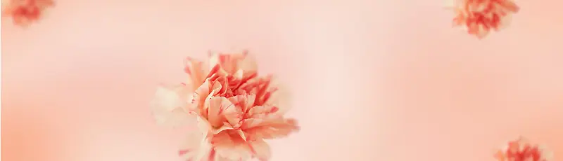 粉色唯美花朵背景
