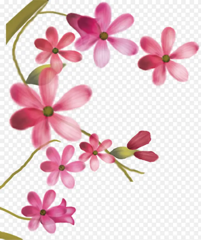 粉色唯美花朵美景手绘