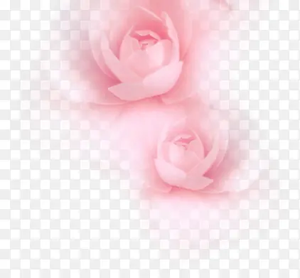 粉色唯美淡雅花朵植物装饰花纹