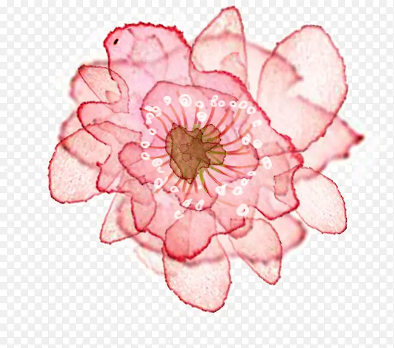 浪漫唯美粉色花朵