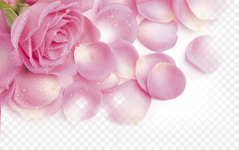 粉色唯美分层花朵
