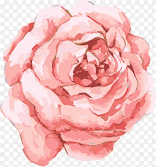 手绘粉色唯美玫瑰装饰