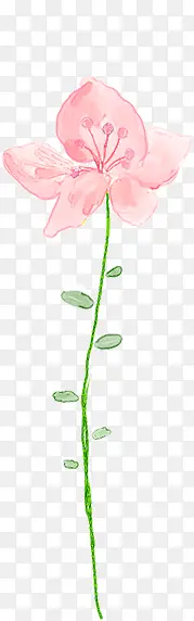 可爱唯美手绘花朵粉色