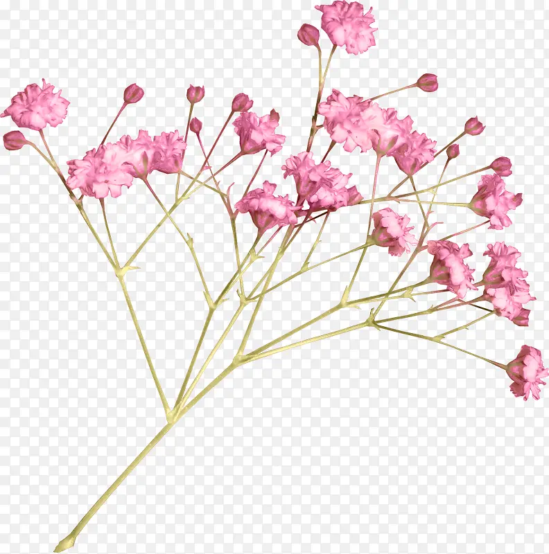粉色手绘一枝小花装饰图案