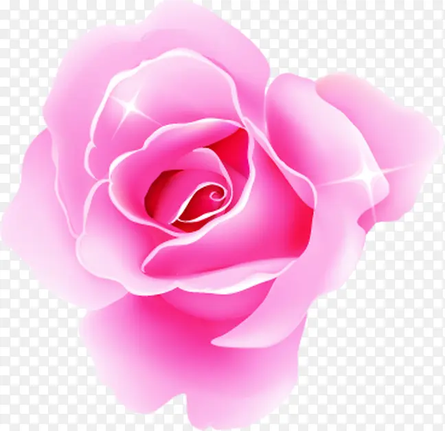 粉色手绘唯美星光玫瑰