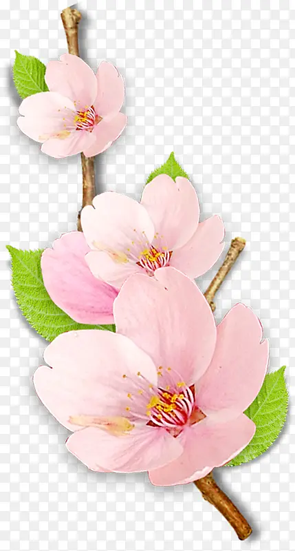 粉色唯美创意花朵桃花