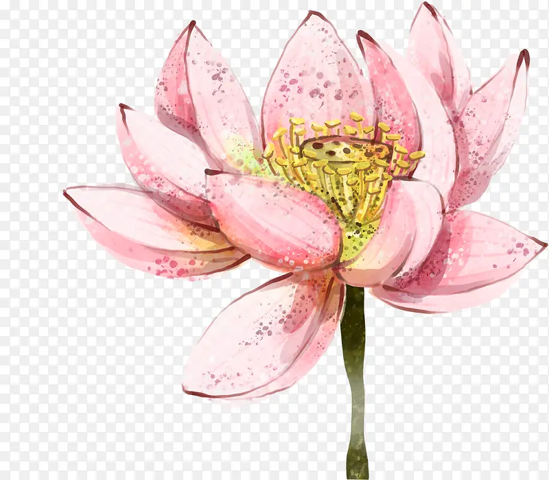 粉色花朵唯美设计