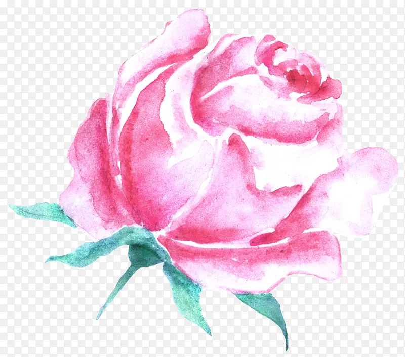 手绘粉色玫瑰创意装饰