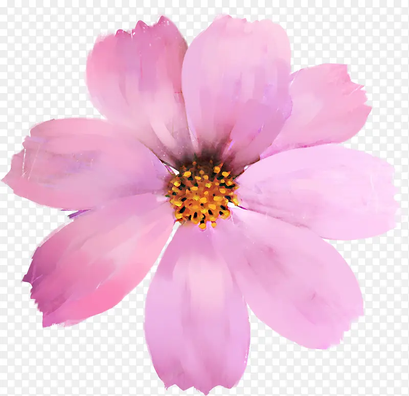 粉色唯美花朵手绘花卉