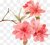 粉色手绘花朵唯美水墨