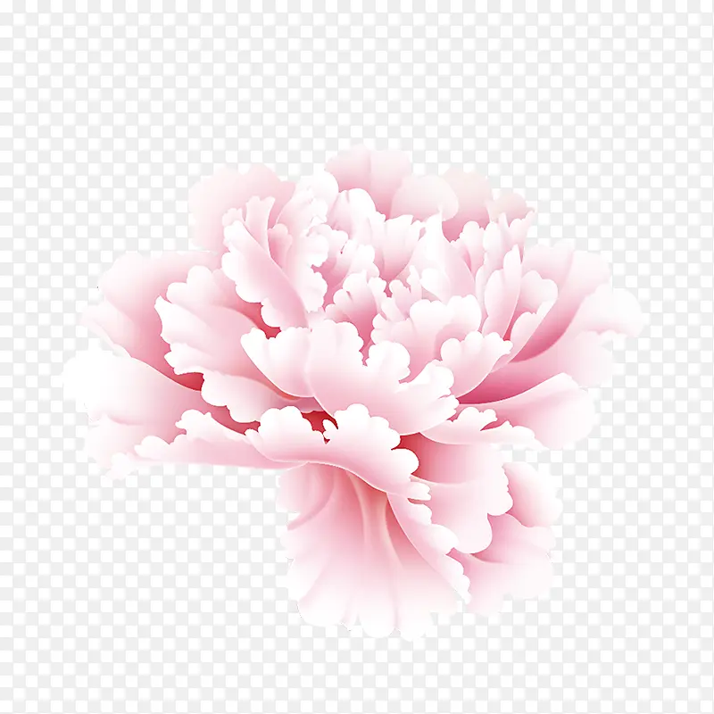 花花蕊唯美粉色清晰
