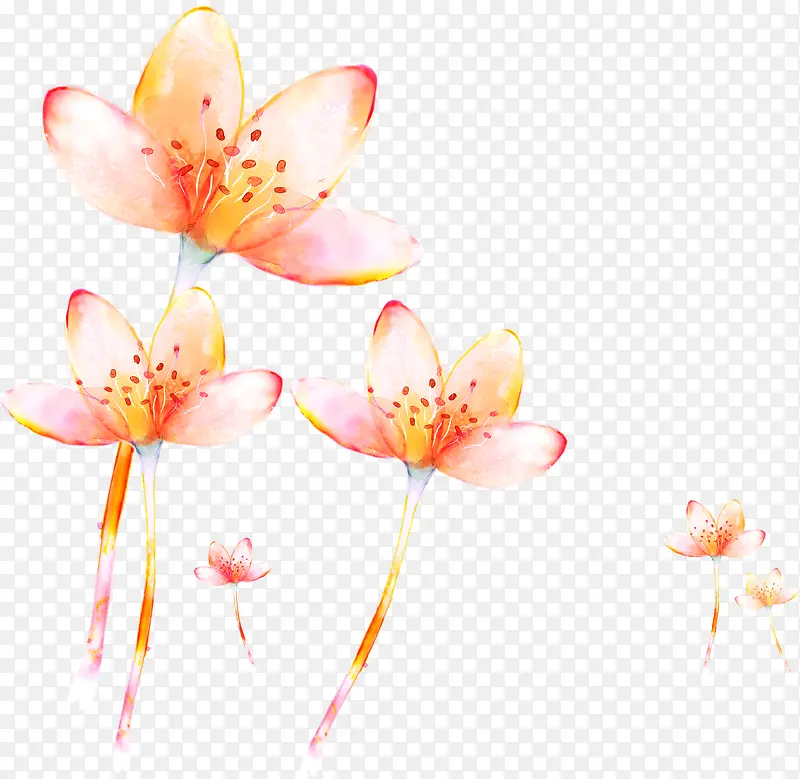 手绘粉色唯美手绘植物花朵