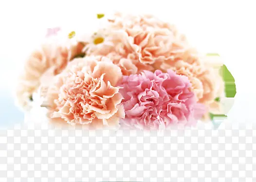 粉色唯美康乃馨花朵礼物