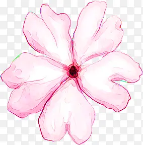 手绘粉色唯美花朵