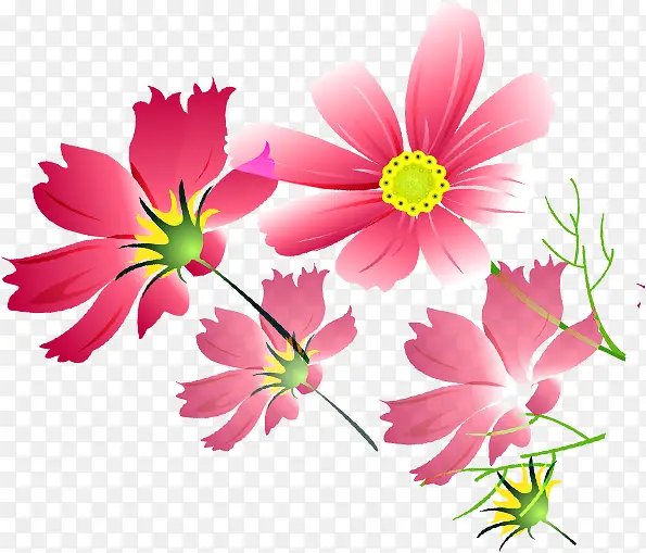 粉色唯美可爱花朵植物