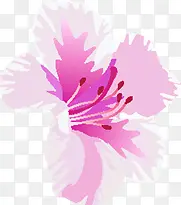 唯美粉色艺术花朵