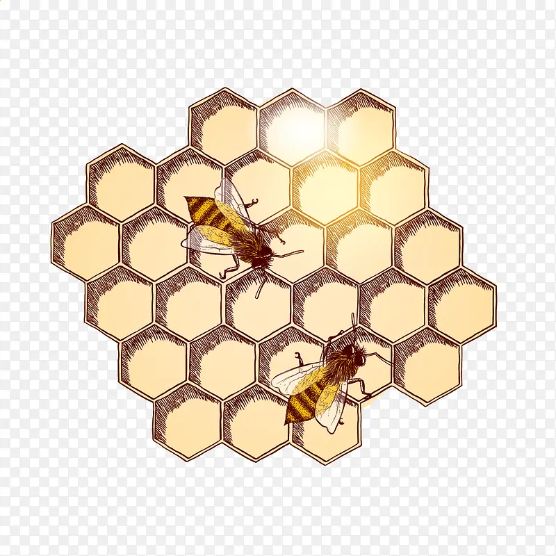 矢量蜂蜜蜂巢