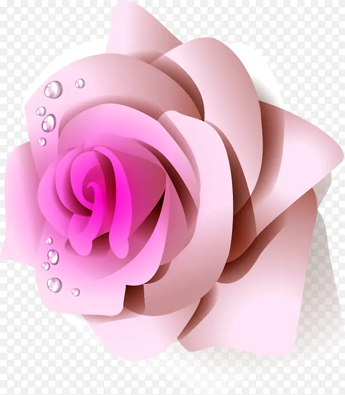 水珠唯美粉色花朵
