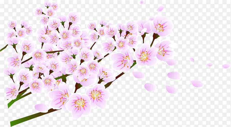唯美春天粉色花朵