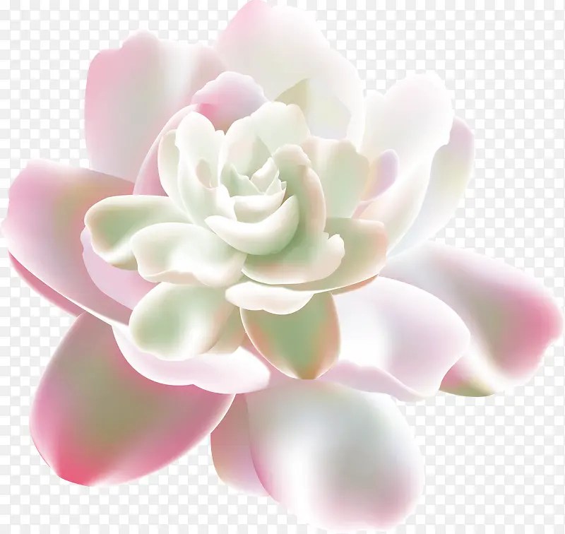 粉色唯美花朵创意设计