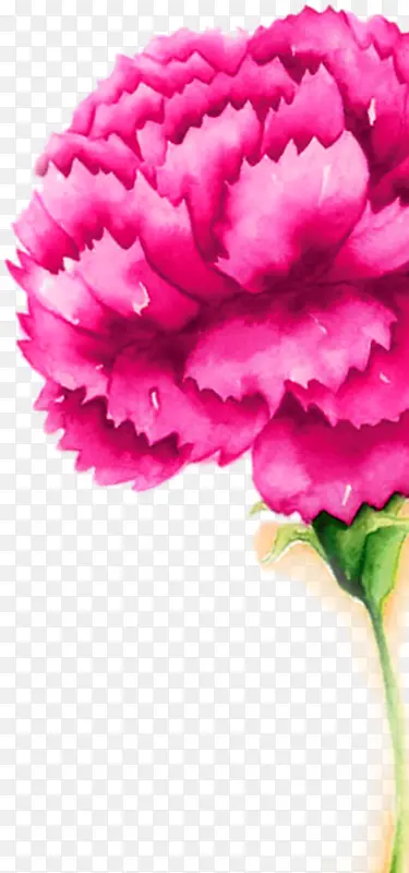粉色水彩花朵设计唯美