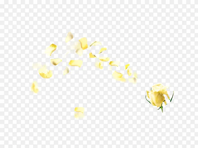 黄色花瓣发光漂浮