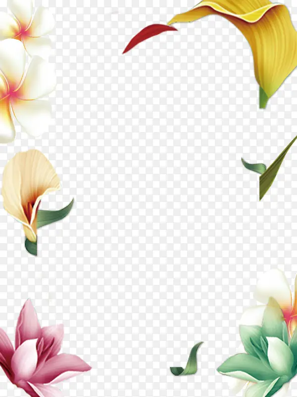 卡通手绘植物花卉边框png