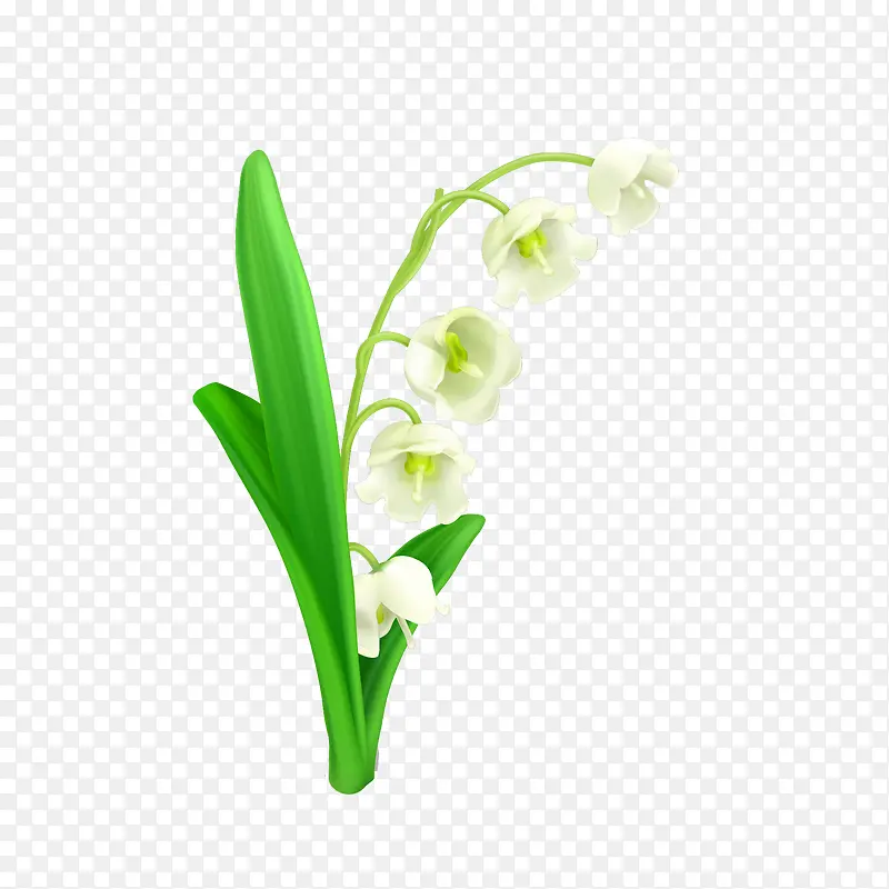 白色小花