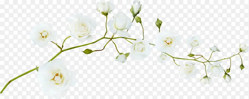 白色 小花 装饰