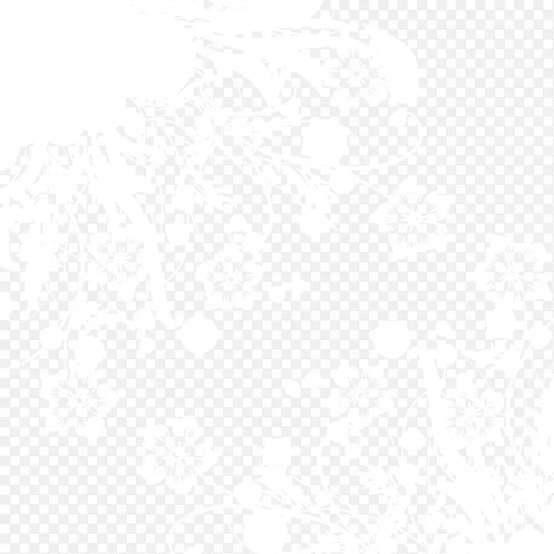 白色透明花边纹理