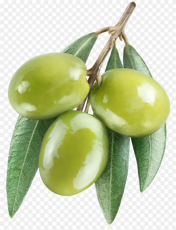 橄榄青果