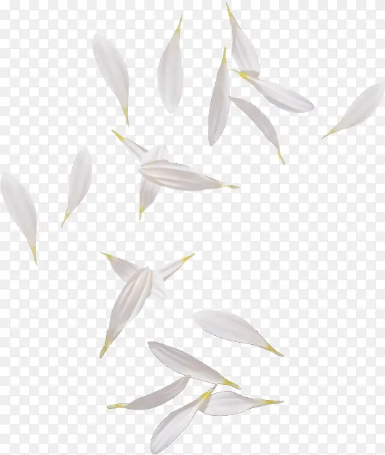 春天白色漂浮花瓣装饰