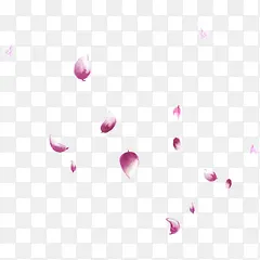 紫红花瓣漂浮装饰