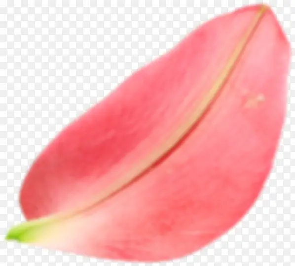粉红花瓣装饰
