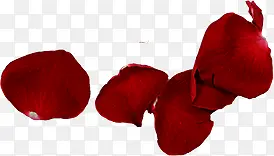 红色花瓣装饰效果