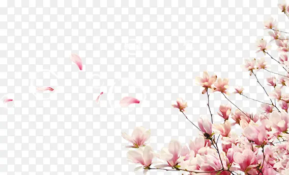 飞舞的花瓣海报背景七夕情人节
