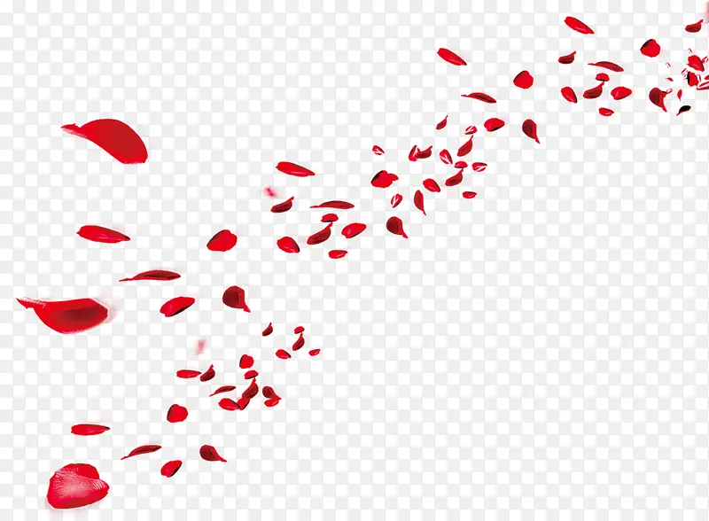 飞舞的红色花瓣海报背景