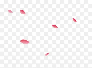 花瓣粉红花瓣不规则漂浮装饰