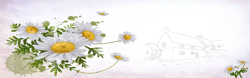 花瓣背景图
