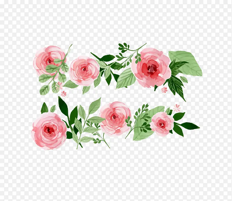 矢量粉色玫瑰盛放装饰图案