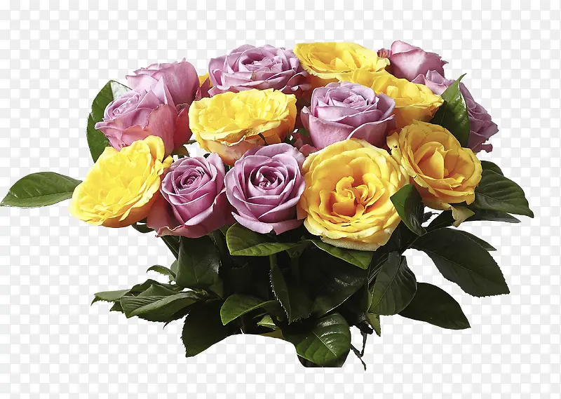 黄紫色玫瑰装饰花束
