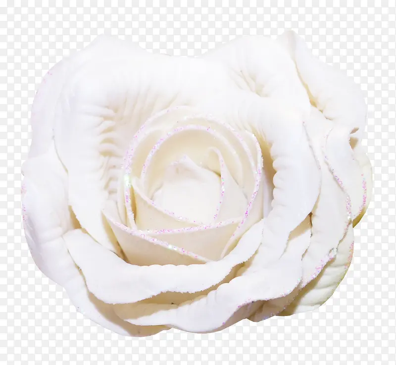 家居家纺   装饰  白玫瑰