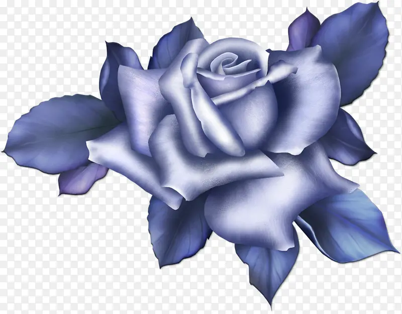 蓝玫瑰装饰蕾丝花朵