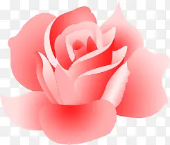 手绘粉色花朵装饰玫瑰